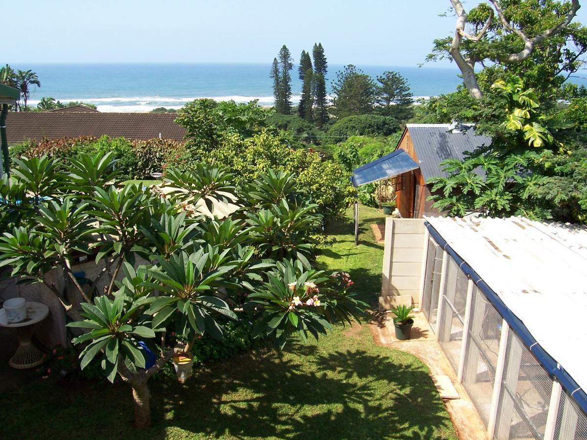 Birdcage B&B Amanzimtoti Exterior photo